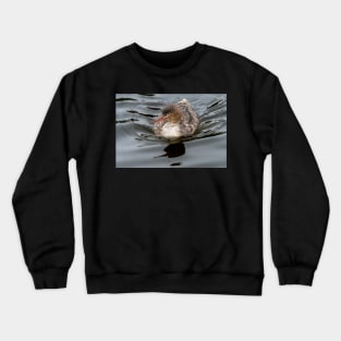 Merganser Gliding Across the Water Crewneck Sweatshirt